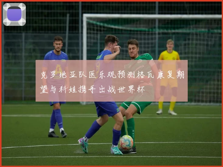 克罗地亚队医乐观预测格瓦康复期望与科娃携手出战世界杯